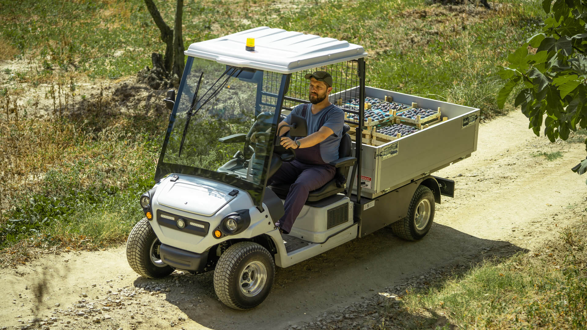 electric vehicles - GOLFCART